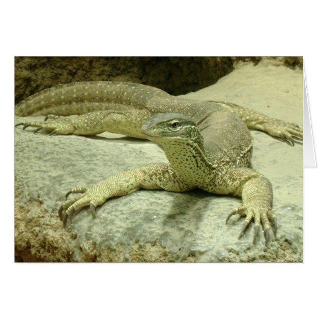 Varanus gouldii hälsningskort (Framsidan Horizontal)