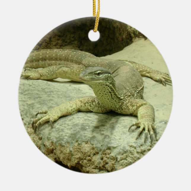 Varanus gouldii julgransprydnad keramik (Framsidan)