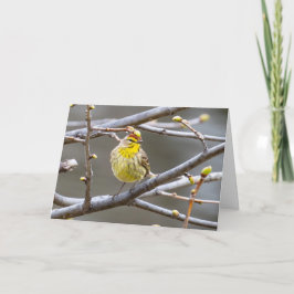 Varare för tomt gratulationskort kort