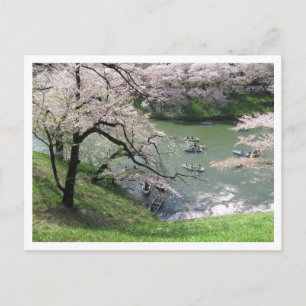 Vårbåttur: Chidorigafuchi, Tokyo Vykort