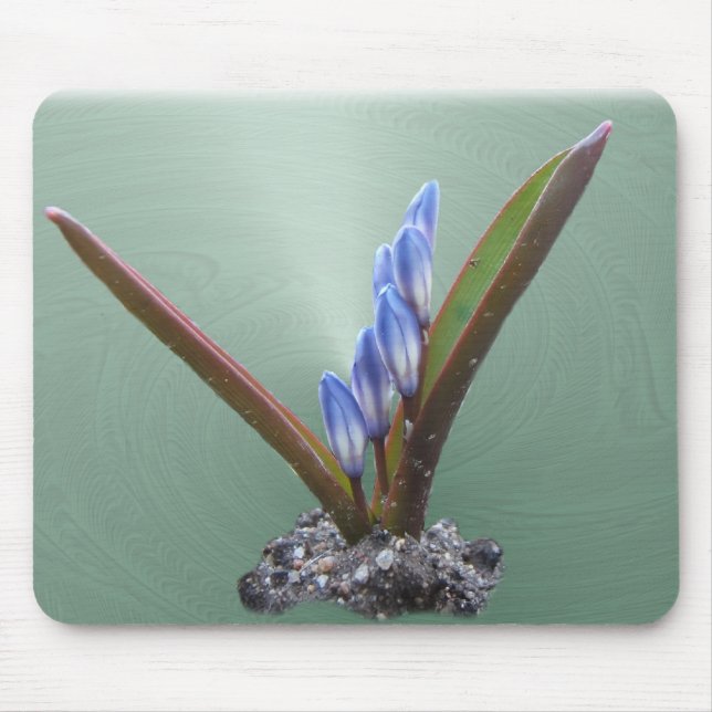 Vårblått virvlar runt ~-mousepad musmatta (Framsidan)