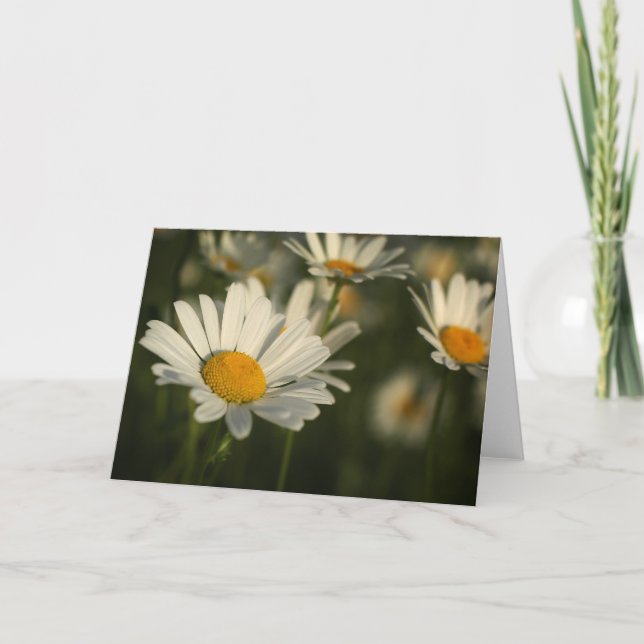 Vårblom Kort (Framsida)