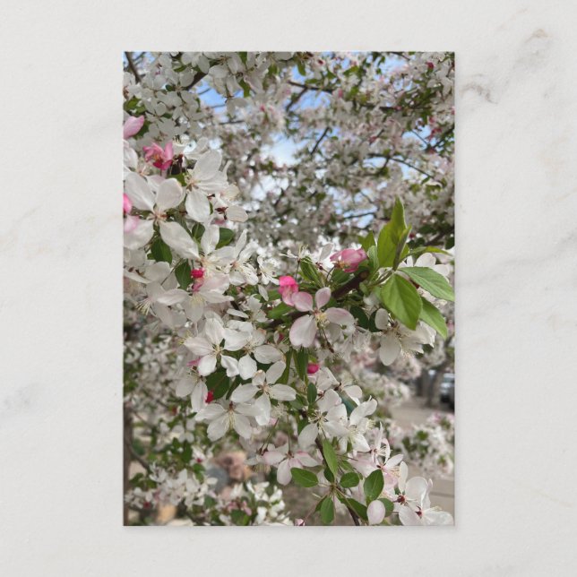 Vårblomma Tilläggskort (Framsida)