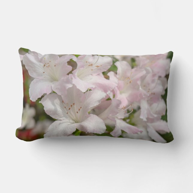 Vårblommande rosa azaleor blommor lumbarkudde (Framsida)