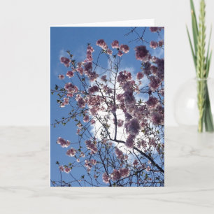 Vårblommar från Loch Nesshälsningkort Kort