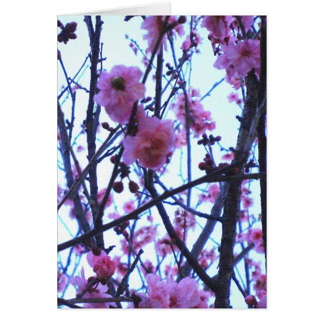 Vårblommar Hälsningskort (Framsidan)