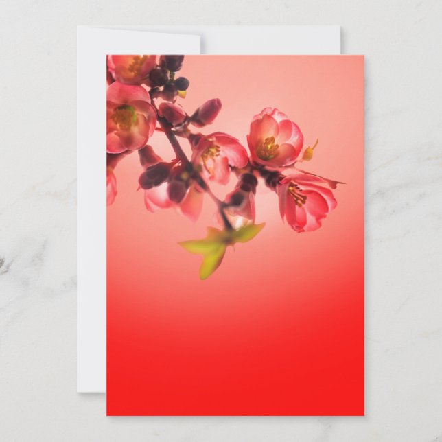 Vårblommar över röd bakgrund julkort (Framsida)