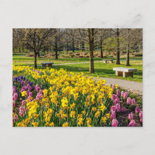 Vårblommig Trädgård vykort