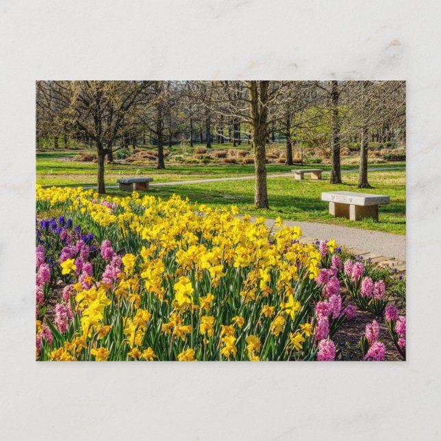 Vårblommig Trädgård vykort (Framsida)