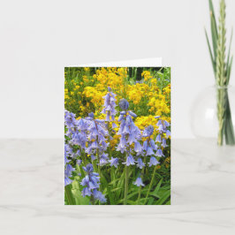 Vårblommor blåklockor och vägglök foto kort
