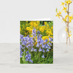 Vårblommor blåklockor och vägglök foto kort