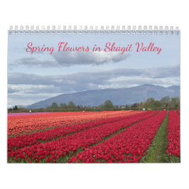 Vårblommor i Skagit Valley Washington State Kalender