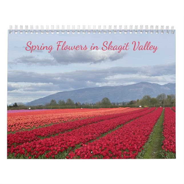 Vårblommor i Skagit Valley Washington State Kalender (Omslag)