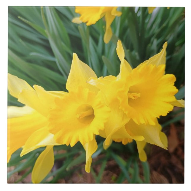 Vårblommor Kakelplatta (Framsidan)