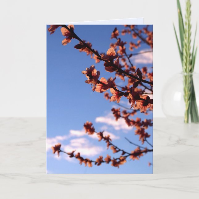 Vårblommor Kort för Nya Början (Framsida)
