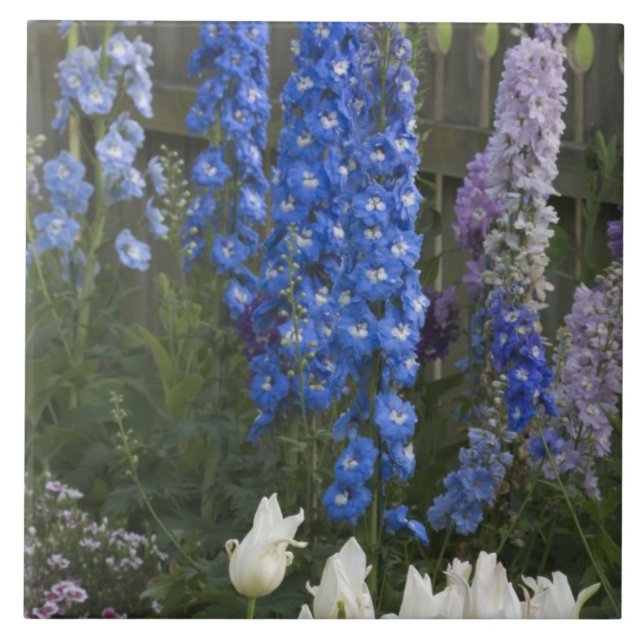 Vårblommor längs en trädgårdsstig, Georgia 2 Kakelplatta (Framsidan)