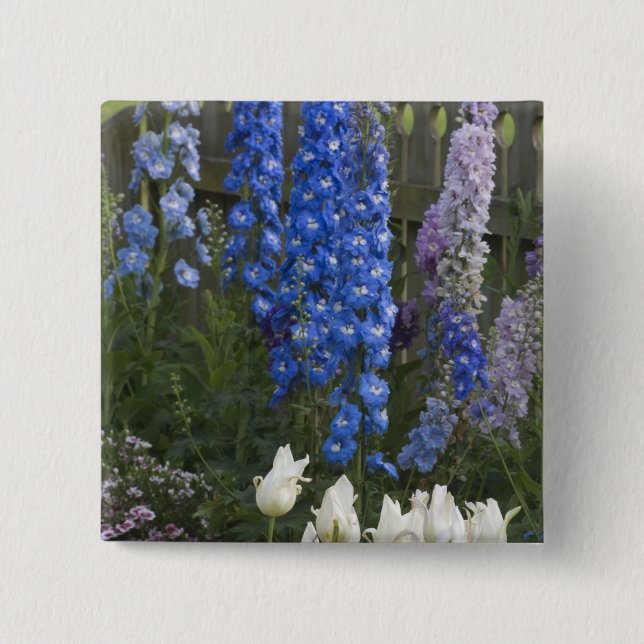 Vårblommor längs en trädgårdsstig, Georgia 2 Knapp (Framsida)