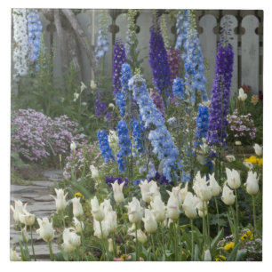 Vårblommor längs en trädgårdsstig, Georgia Kakelplatta