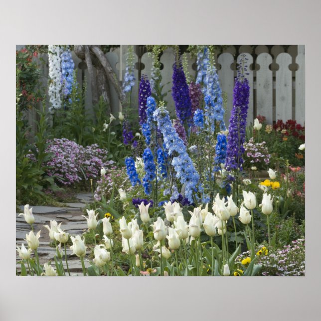 Vårblommor längs en trädgårdsstig, Georgia Poster (Framsidan)