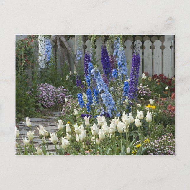 Vårblommor längs en trädgårdsstig, Georgia Vykort (Framsida)