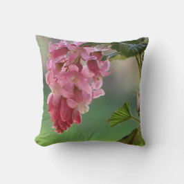 vårblommor, påsk, vår, natur, rosa kudde