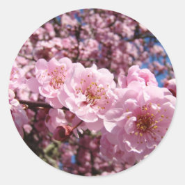 Vårblommor Rosa Träd Blommar klistermärken sigill