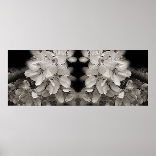 Vårblommor Svart Och Vitt Spegel Abstrakt Poster (Framsidan)