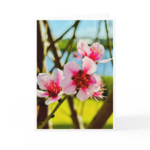 Vårblommor tom kort