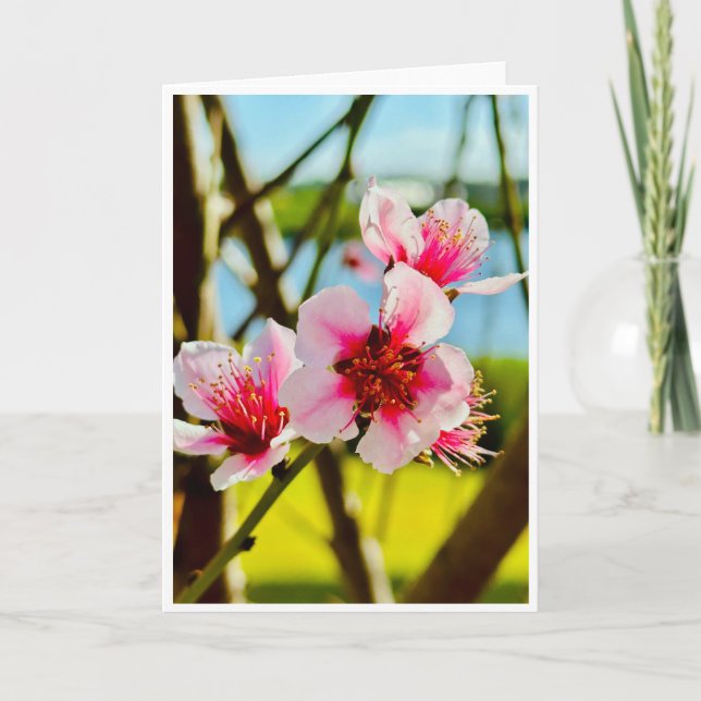 Vårblommor tom kort (Framsida)