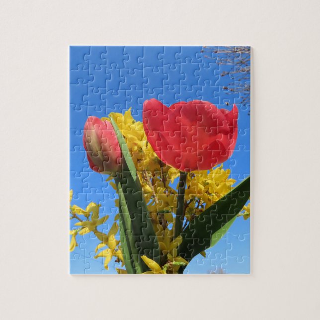 vårblommor, tulpaner, färgglada + blommor, blå pussel (Vertikal)