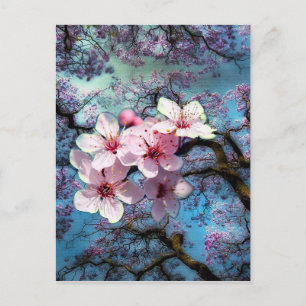 Vårblommor Vykort