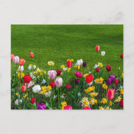 Vårblommor Vykort