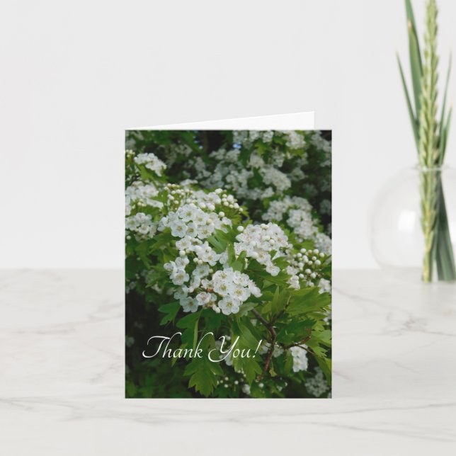 Vårblomning av Happyappolis Tack Kort (Framsida)