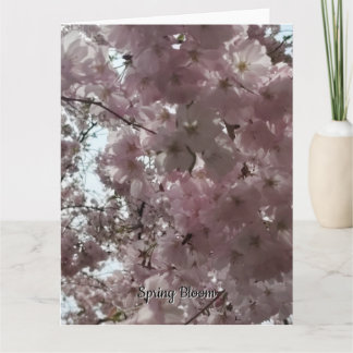 Vårblomning Kort