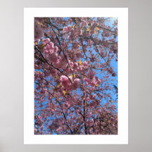 Vårblomning