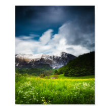 Vårblomsterfält under berg Krn