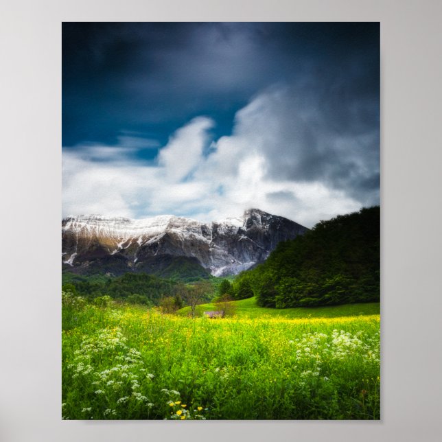 Vårblomsterfält under berg Krn Poster (Framsidan)