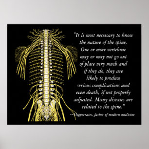 Vård- citationstecken Hippocrates för Chiropractic Poster
