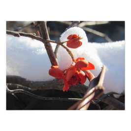 "Vård i viloläge" Fototryck