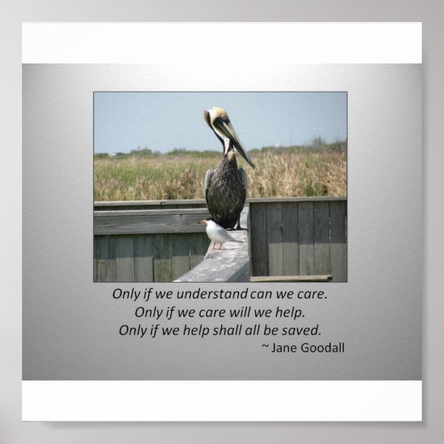 Vård Poster (Framsidan)