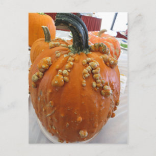 Vard Pumpkin Vykort