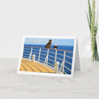 Vårda och Pandakryssningkortet Kort