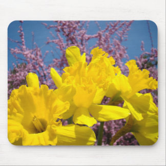Vårdaffodillsmusselduk Blommiga Rosa Blommor Musmatta