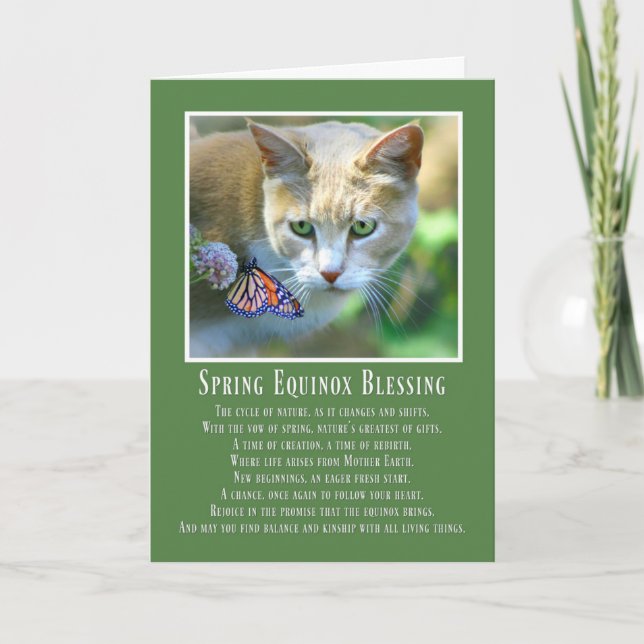 Vårdagjämning Ostara Katt och Fjäril Kort (Framsida)