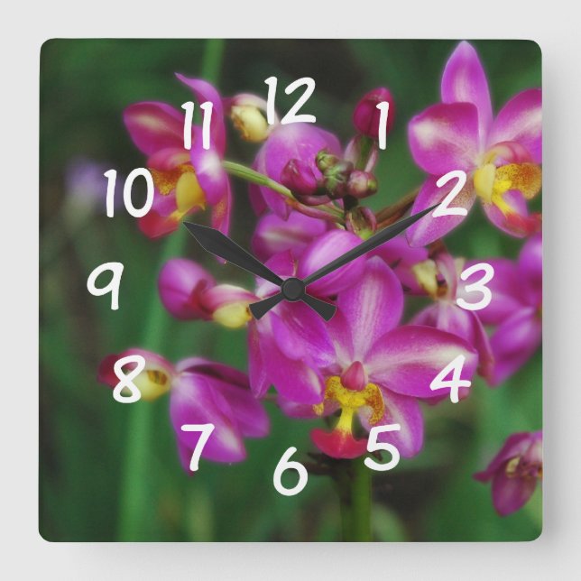 Vardagsrum - purpurfärgat orchidsfoto fyrkantig klocka (Framsida)