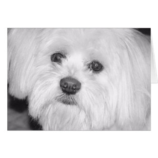 värdefull hälsningskort