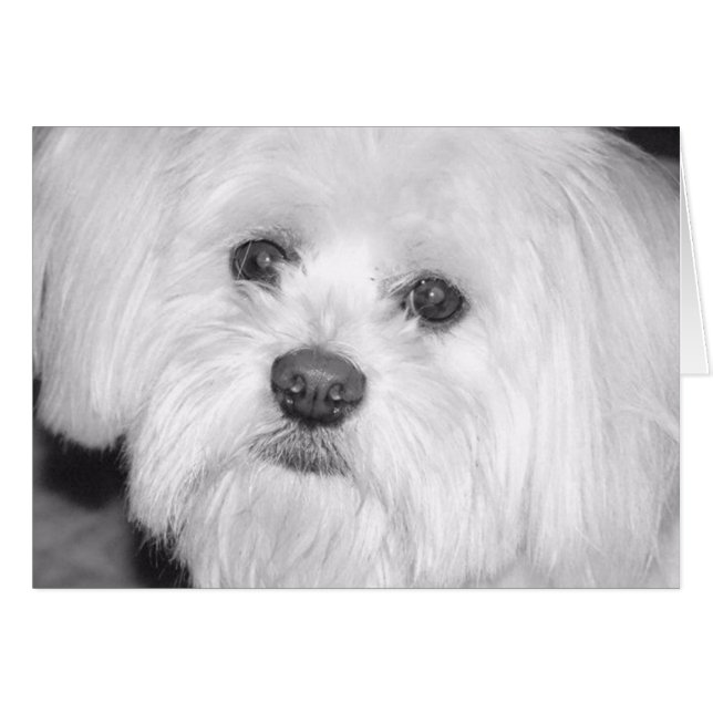 värdefull hälsningskort (Framsidan Horizontal)