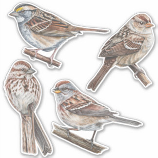 Värdepaket för Sparrow Stickers Klistermärken