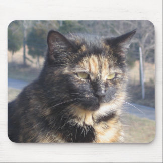 Värdig katt musmatta