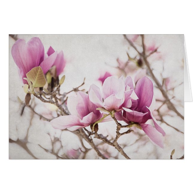 Våren är i luften hälsningskort (Framsidan Horizontal)